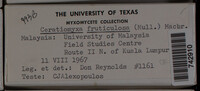 Image Associated With the Occurence